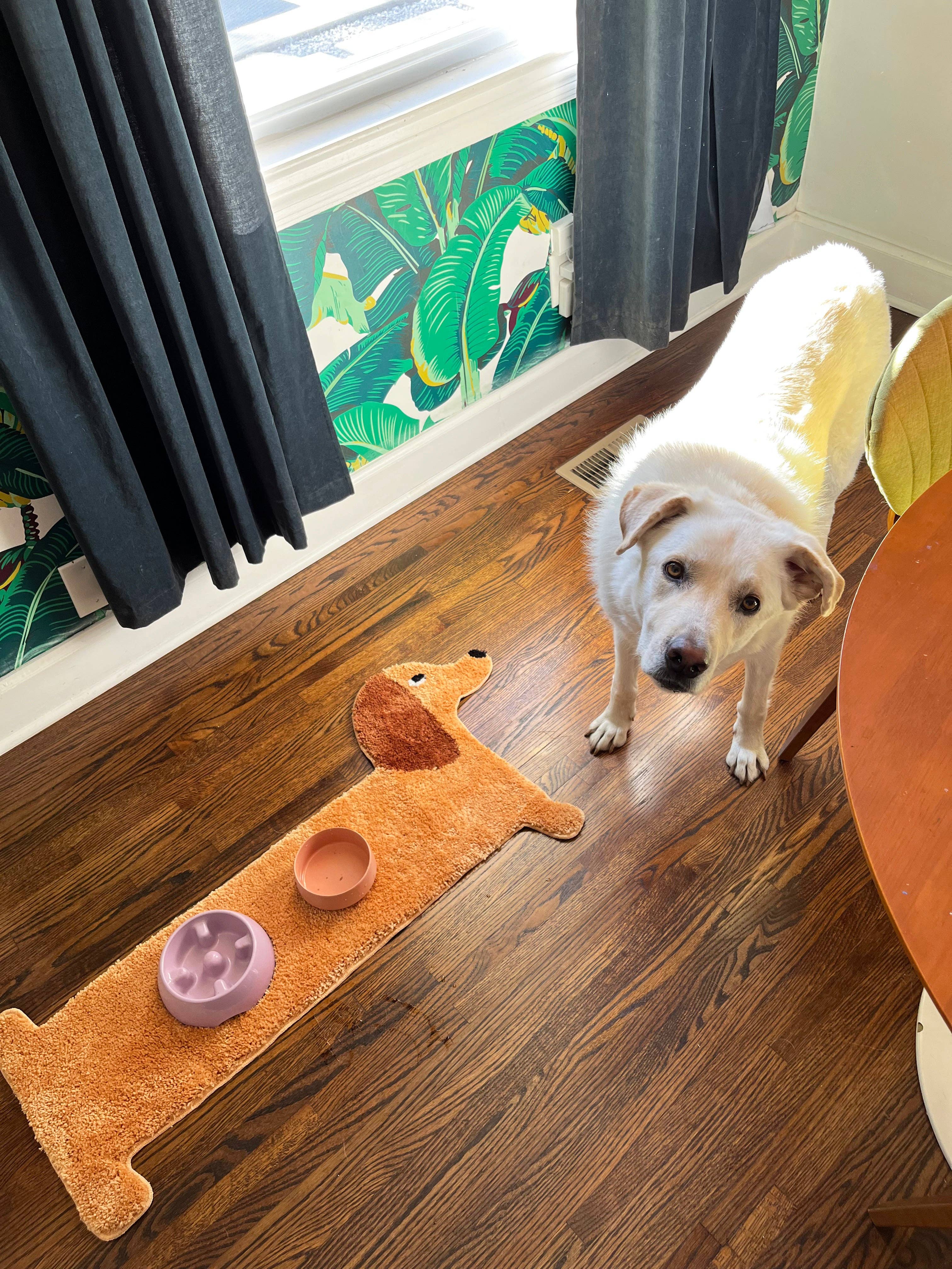 A Shop of Things Dog Rug